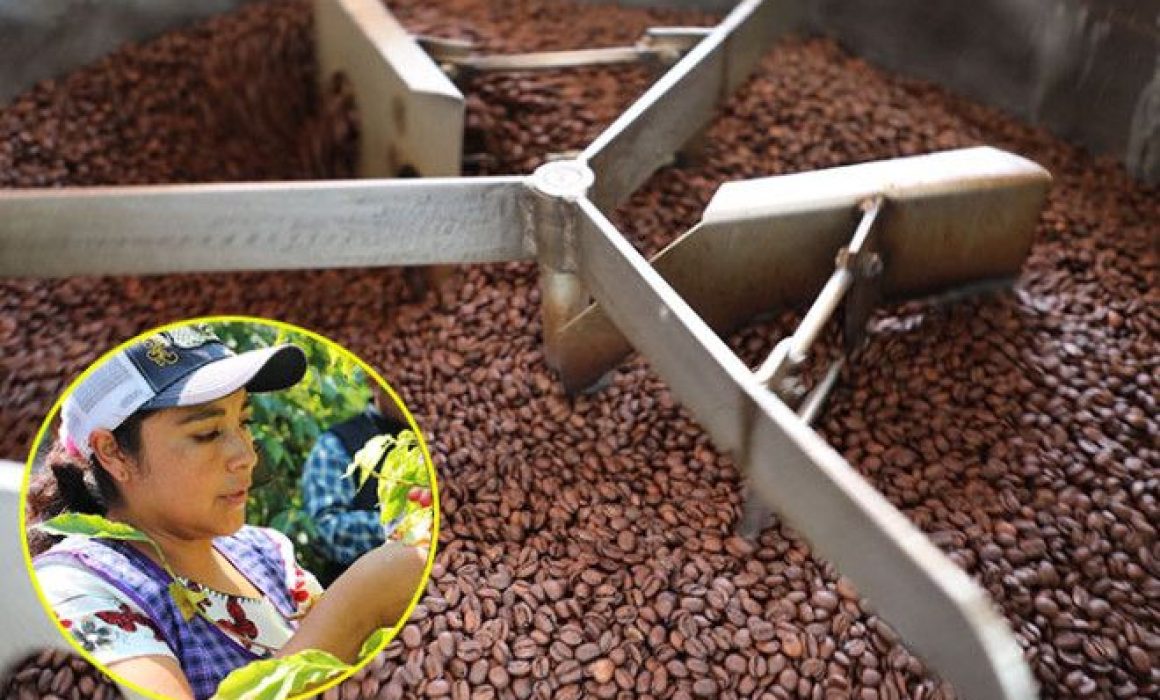 Vive el Segundo Festival del Café en Toluca con sabor, cultura y tradición