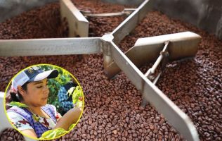 Vive el Segundo Festival del Café en Toluca con sabor, cultura y tradición