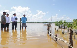 Yucatán lanza estrategia integral para restaurar ecosistemas costeros