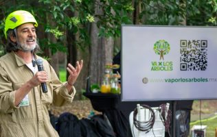 Albergará Chapultepec la competencia latinoamericana de trepa de árboles