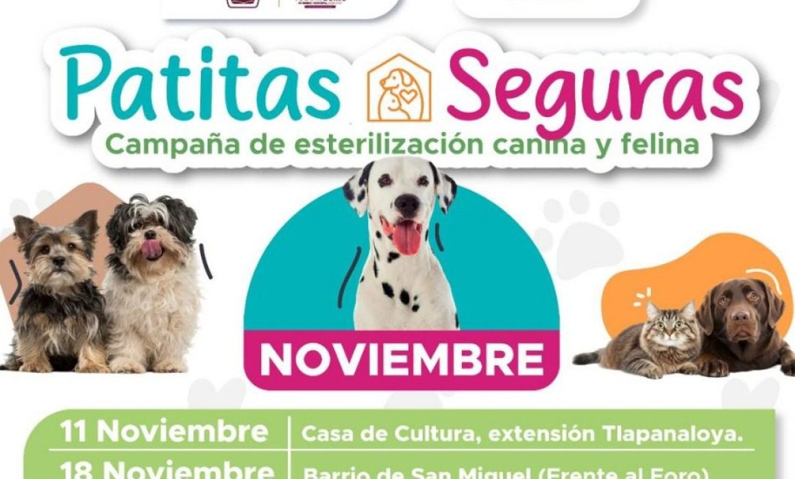 Anuncian jornada de esterilización con “Patitas Seguras” en Tequixquiac