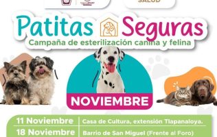 Anuncian jornada de esterilización con “Patitas Seguras” en Tequixquiac