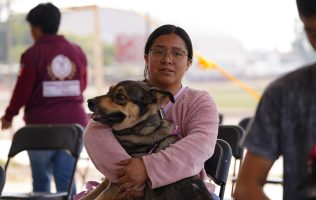 Aplica Chimalhuacán 130 esterilizaciones en jornada masiva gratuita.