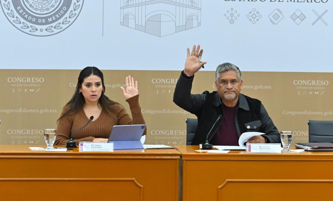 Avanza iniciativa para reforestación urbana