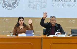 Avanza iniciativa para reforestación urbana