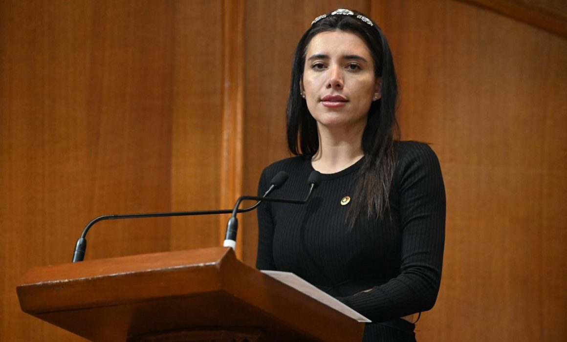 Busca bancada del Partido Verde despenalización de la eutanasia