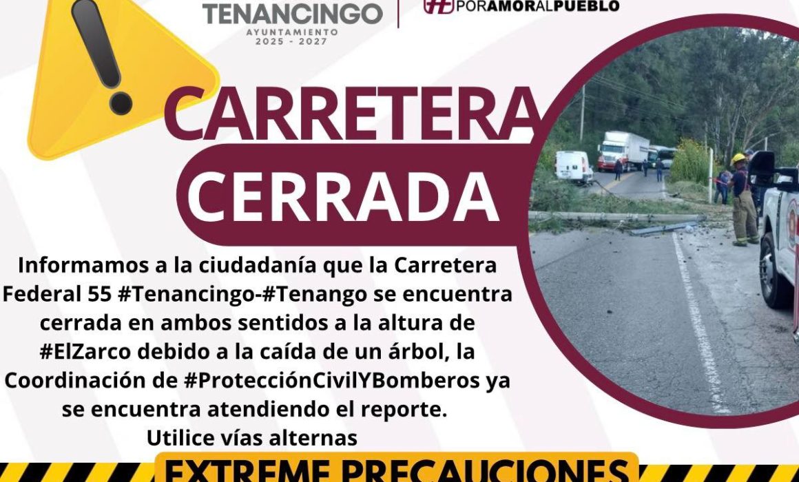 Caída de árbol y poste genera caos vial en Tenancingo-Tenango
