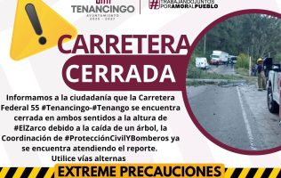 Caída de árbol y poste genera caos vial en Tenancingo-Tenango