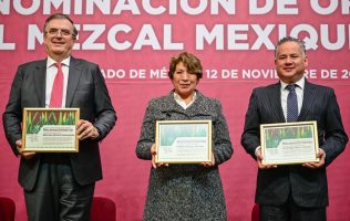 Celebra Edomex la nueva Denominación de Origen del Mezcal Mexiquense