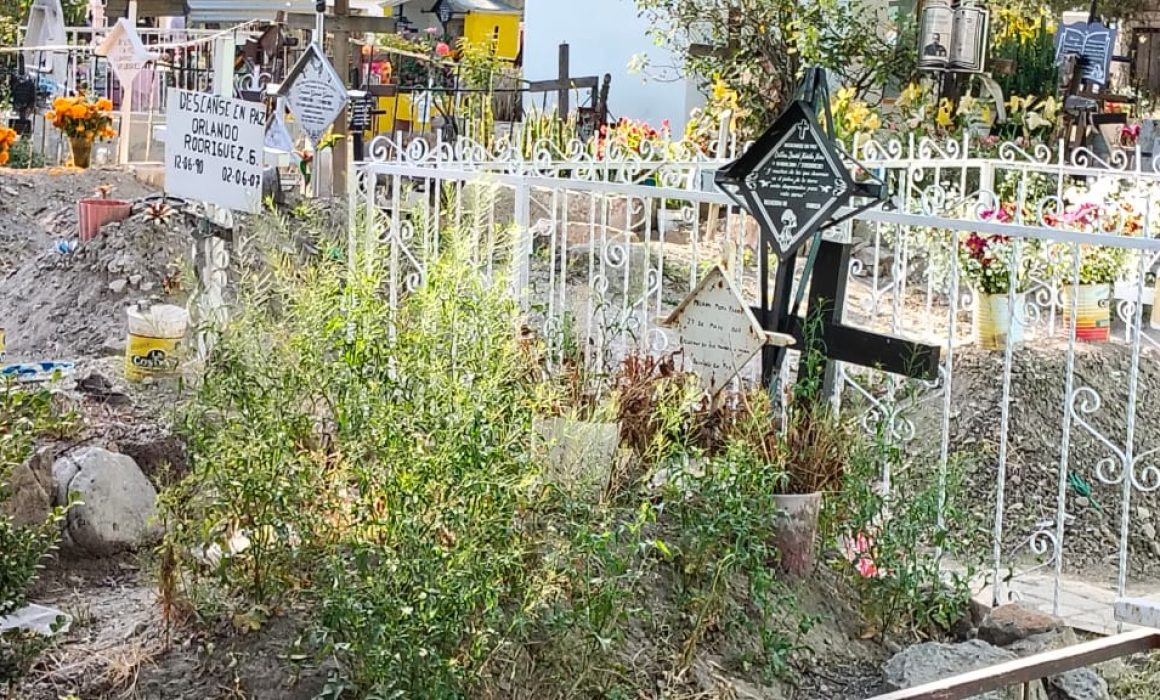Celebran entre flores y tumbas olvidadas el Día de Muertos en Huehuetoca