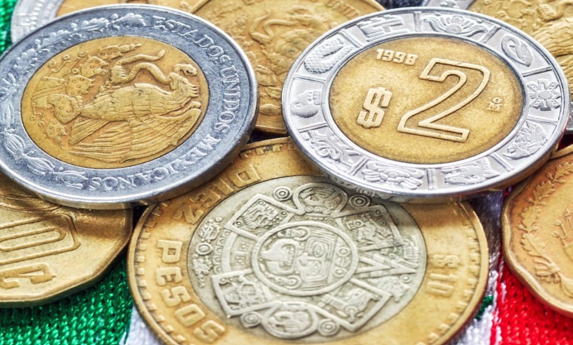 Cerrar el círculo de la fiscalización de la observación al resarcimiento en pesos