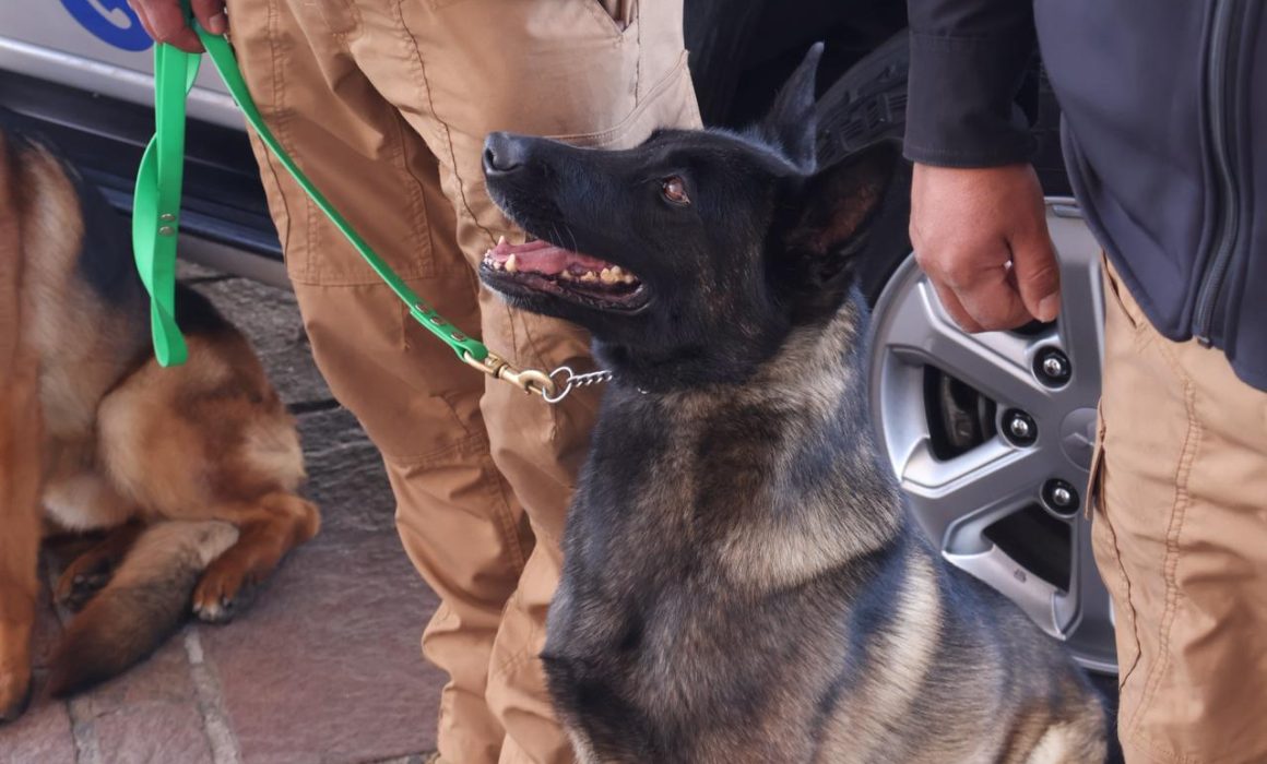 Crea Metepec la 1a policía ambiental y de protección animal del Edomex