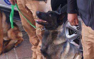 Crea Metepec la 1a policía ambiental y de protección animal del Edomex