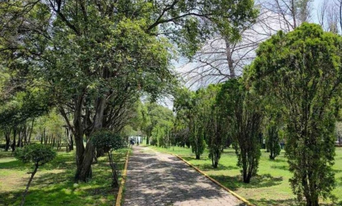 Descubre qué actividades habrá en Naucalpan en este Día de Muertos
