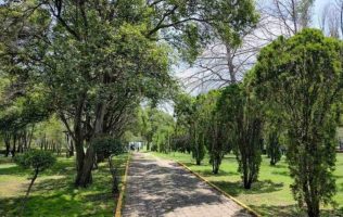 Descubre qué actividades habrá en Naucalpan en este Día de Muertos