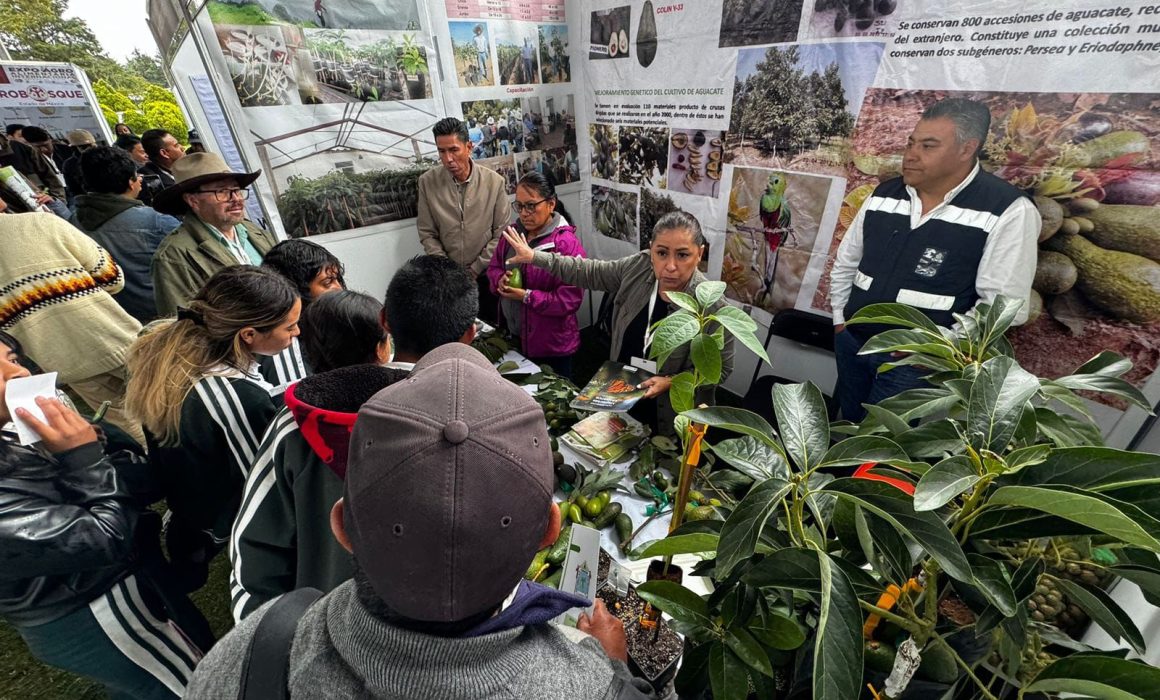 Descubre rutas y accesos para llegar a tiempo a la Expo Agro 2025