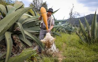 Fortalece Delfina Gómez espacios de venta para artesanos del pulque