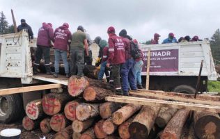 Frenan habitantes de Texcoco camiones con madera ilegal
