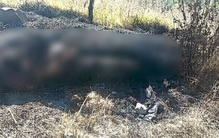 Hallan en Zinacantepec cuerpo calcinado en camino de terracería
