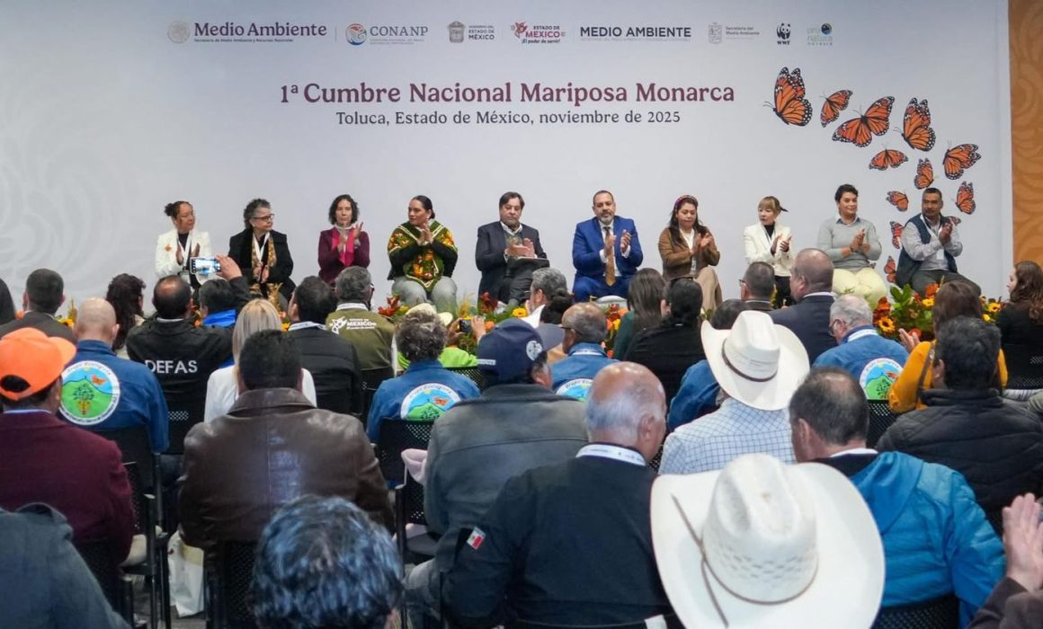 Impulsa Cumbre Nacional acciones para proteger a la mariposa monarca