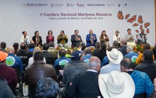 Impulsa Cumbre Nacional acciones para proteger a la mariposa monarca