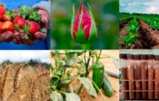 La economía mexiquense con retos importantes para 2026
