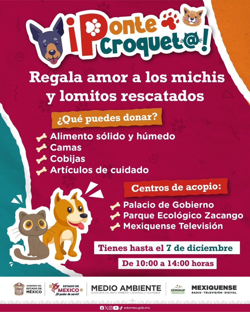 Fotos: Delfina Gómez 