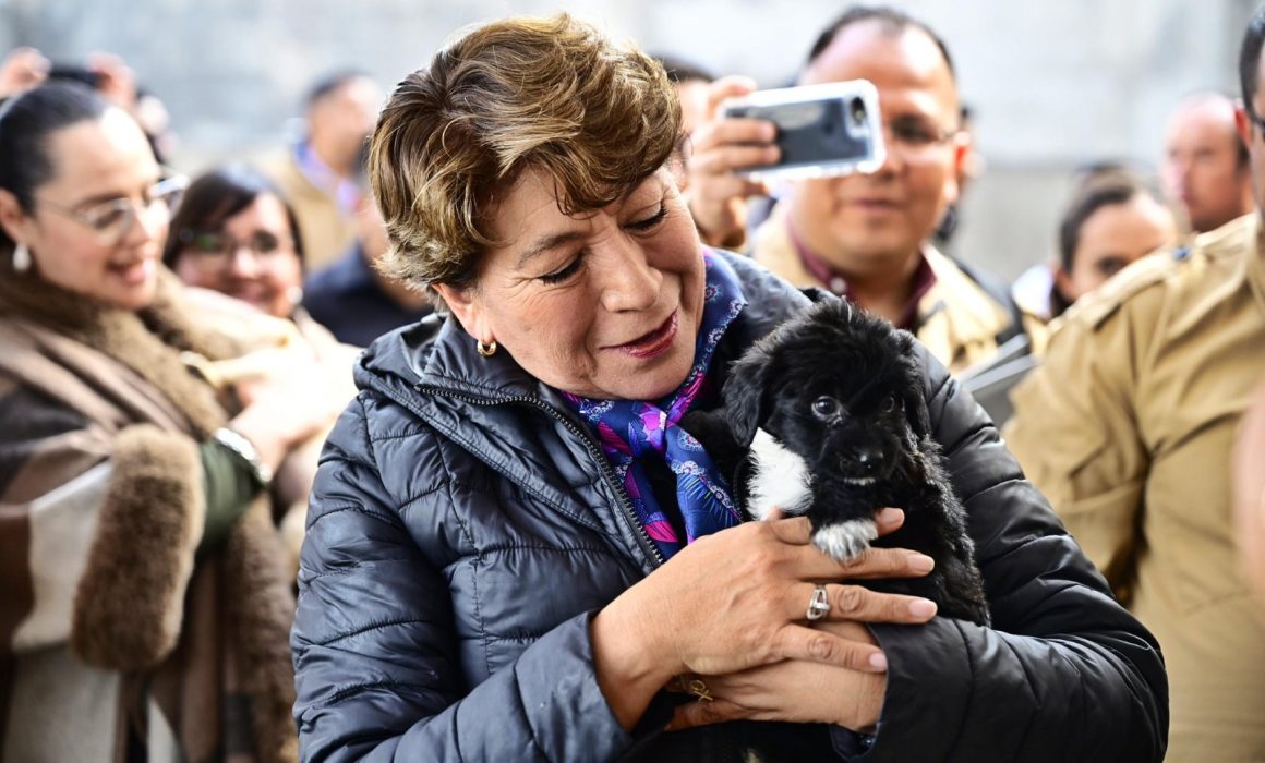 Lanza Delfina Gómez campaña para ayudar 'lomitos y michis' abandonados