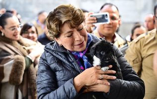 Lanza Delfina Gómez campaña para ayudar 'lomitos y michis' abandonados