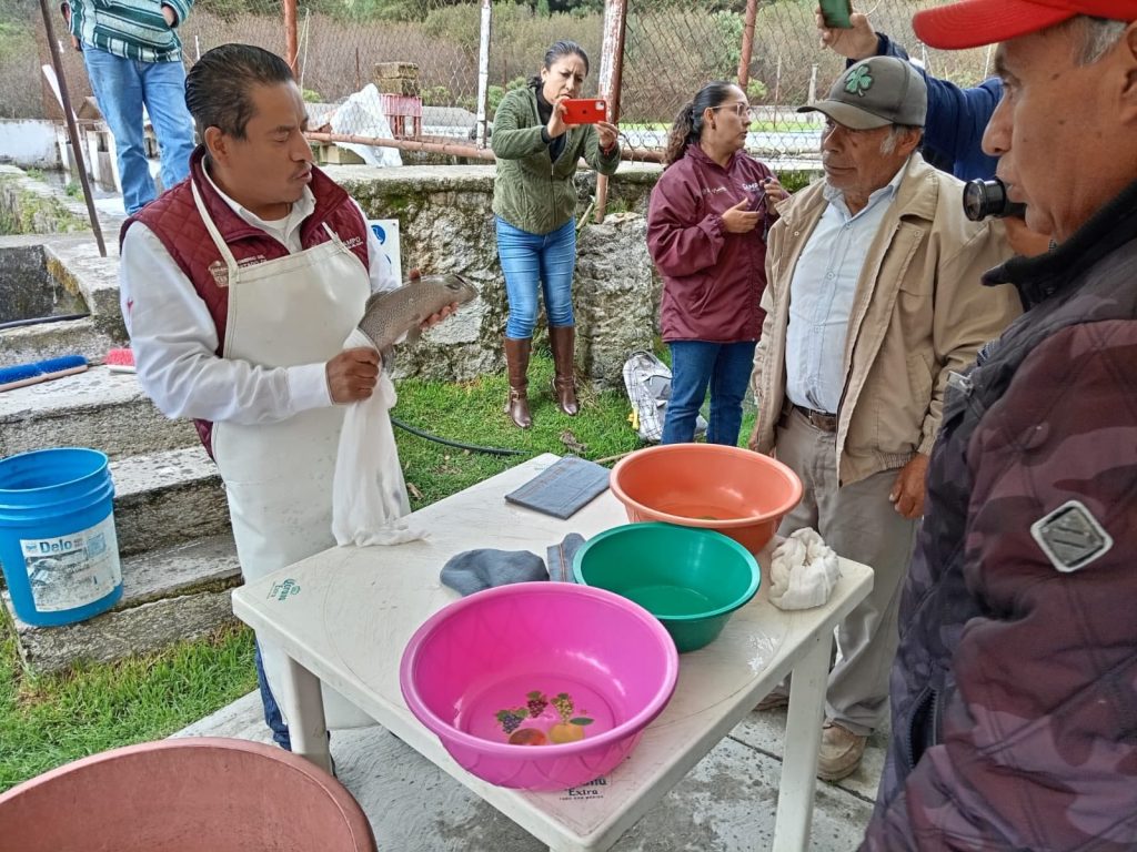 Foto: Secretaría del Campo