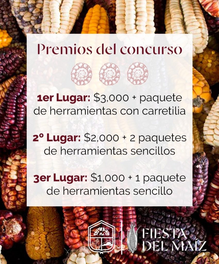 Fotos: Gobierno de Temascalapa