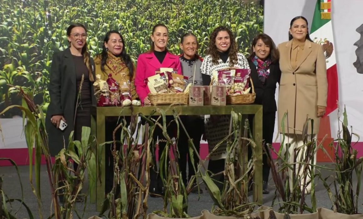 Presenta Sheinbaum El maíz es la raíz, para productores de maíz nativo