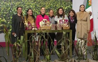 Presenta Sheinbaum El maíz es la raíz, para productores de maíz nativo