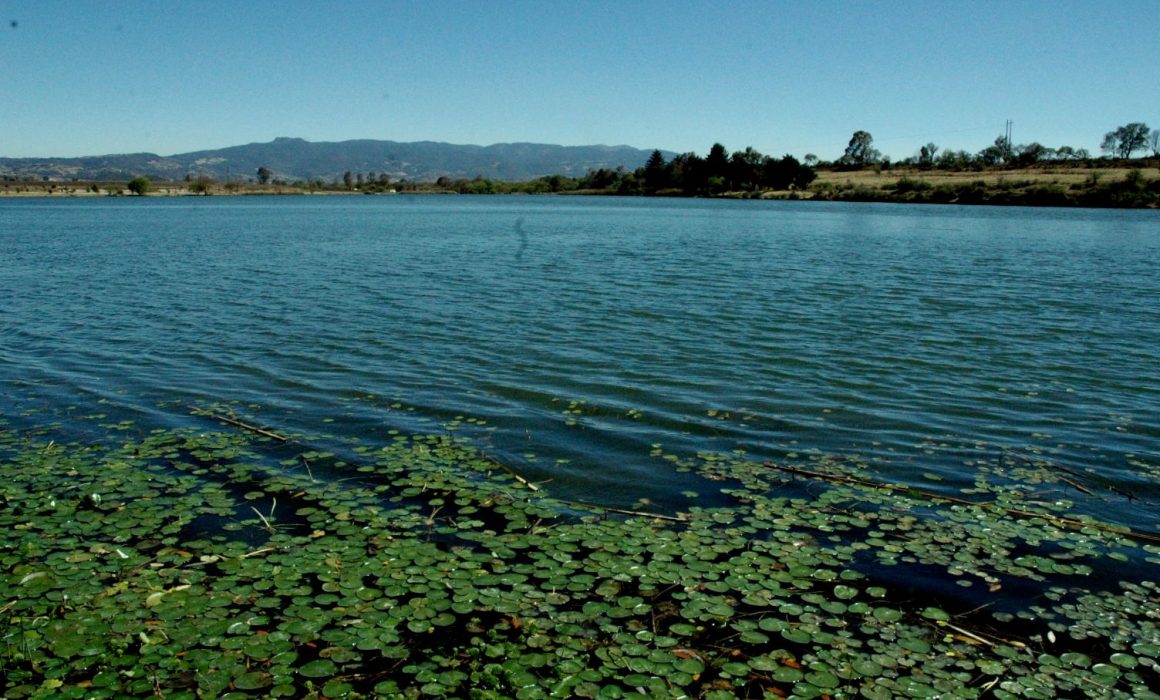 Reconoce Presea Edomex a ciudadanos que destacan en la preservación ambiental