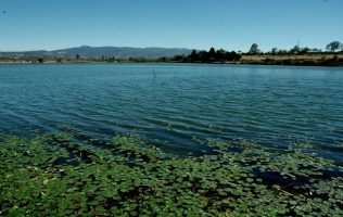 Reconoce Presea Edomex a ciudadanos que destacan en la preservación ambiental