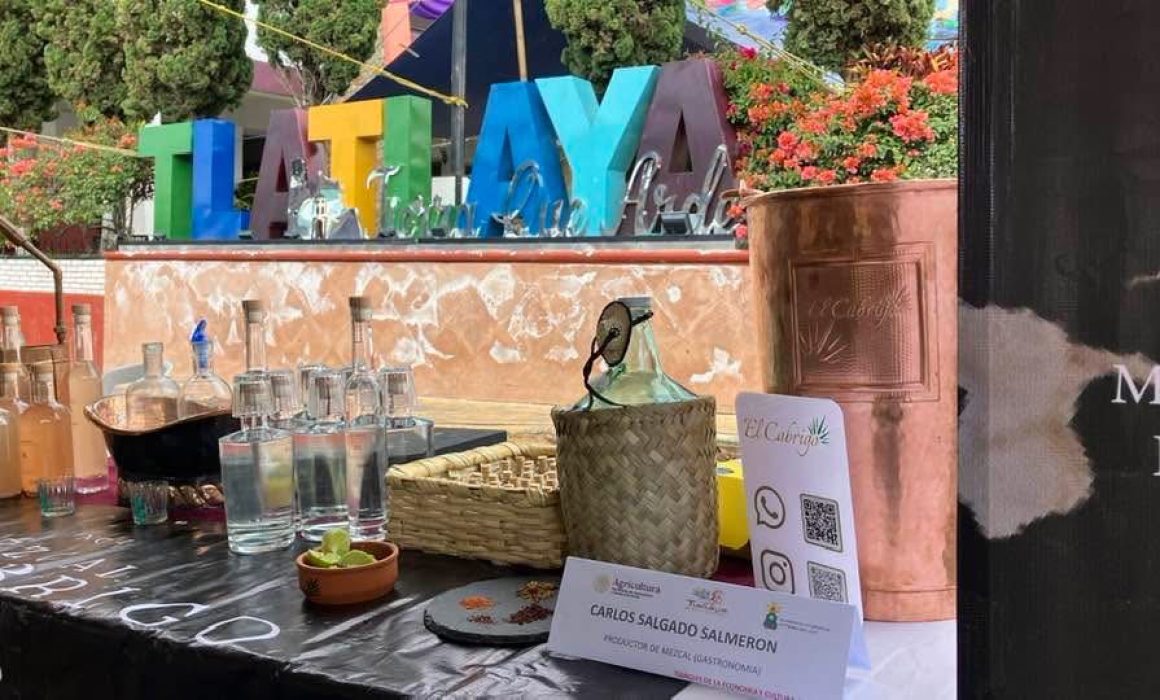 Reconoce Tlatlaya a sus artesanos con el Tianguis de la Cultura Campesina