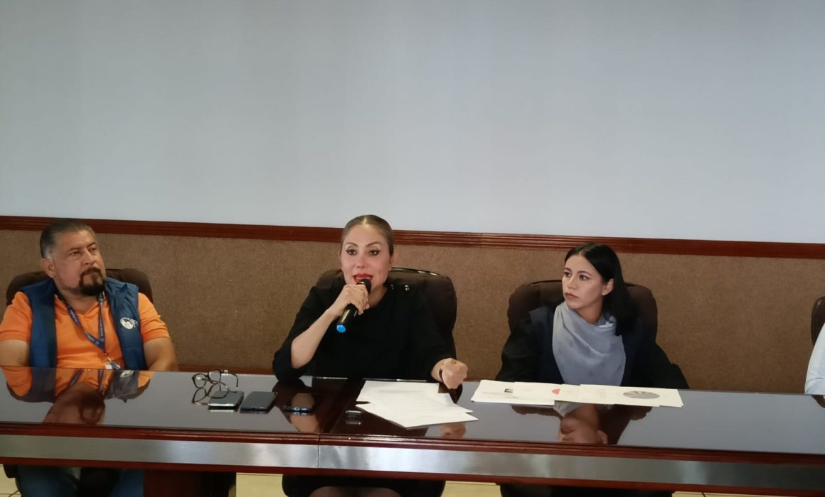 Mascotas en hogares con violencia familiar también viven en maltrato