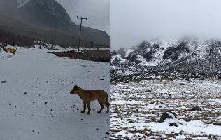 Anuncian cierre de Nevado de Toluca; advierten pérdidas económicas