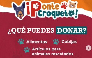 Apoya Semov la campaña ‘Ponte Croqueta’ en el Edomex