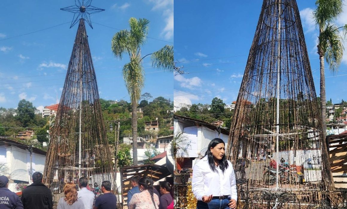 Arde en llamas árbol navideño en Temascaltepec; autoridades lo repondrán