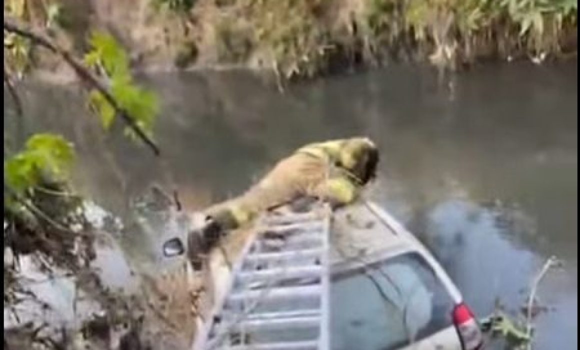 Atienden Bomberos de Cuautitlán auto caído a aguas negras