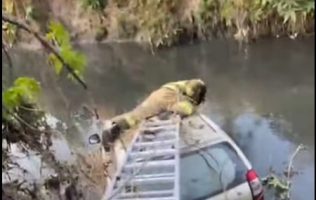 Atienden Bomberos de Cuautitlán auto caído a aguas negras