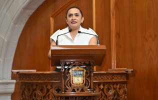 Busca Morena obligar a hombres del Estado de México a limpiar su casa