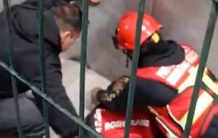 Cae hincha del Toluca de gradas durante festejos del bicampeonato