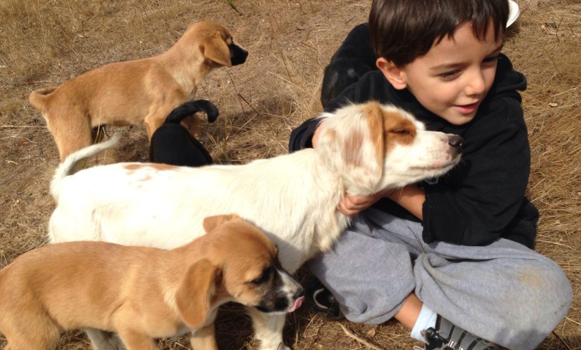 Cambian experiencia médica con terapia con perros en el Estado de México
