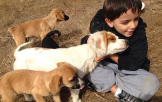Cambian experiencia médica con terapia con perros en el Estado de México