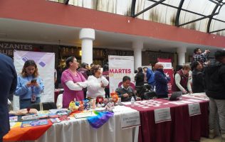 Celebran en Toluca Feria de Igualdad e Inclusión con colectivos LGBT+