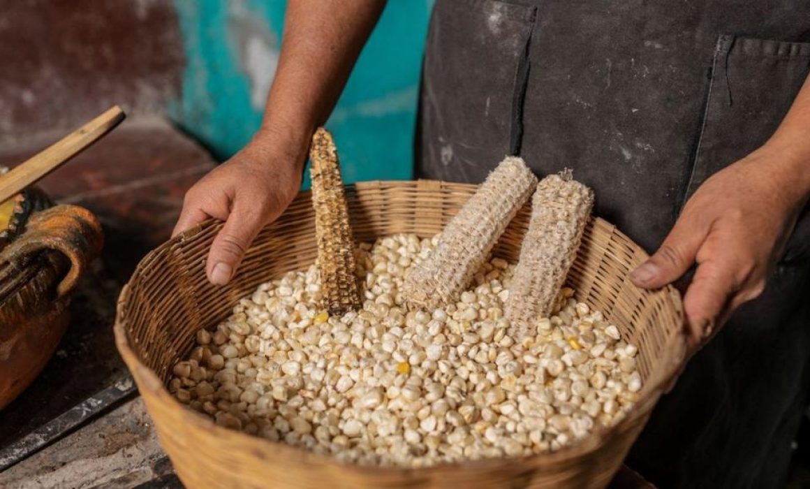 Convivencia que nació antes de tortillerías el origen del nixtamal 1