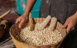 Convivencia que nació antes de tortillerías el origen del nixtamal 1
