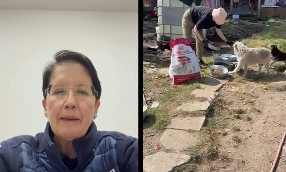 Denuncian a Fundación Haghenbeck por lucrar con refugio animal